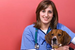 benefits of animal assisted therapy